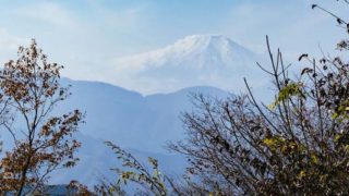 Thumbnail of post image 095