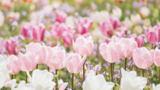 Thumbnail of post image 075