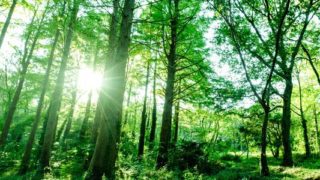 Thumbnail of post image 152