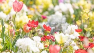 Thumbnail of post image 097